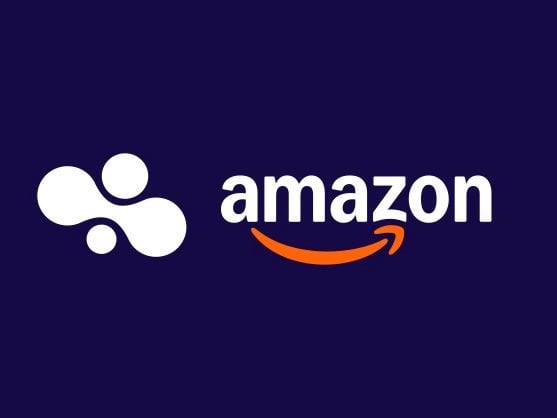 Bee Amazon