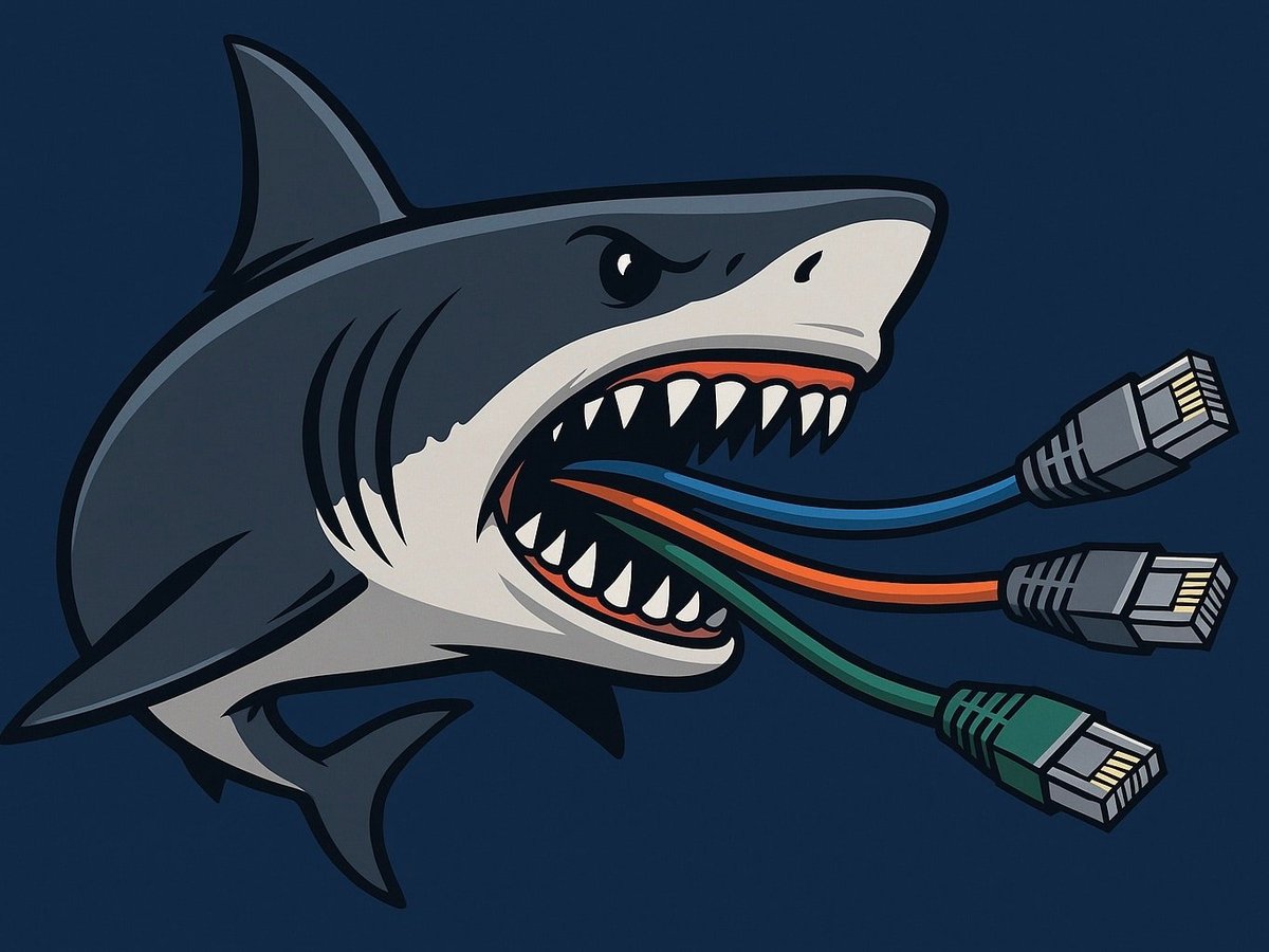 shark biting network cables