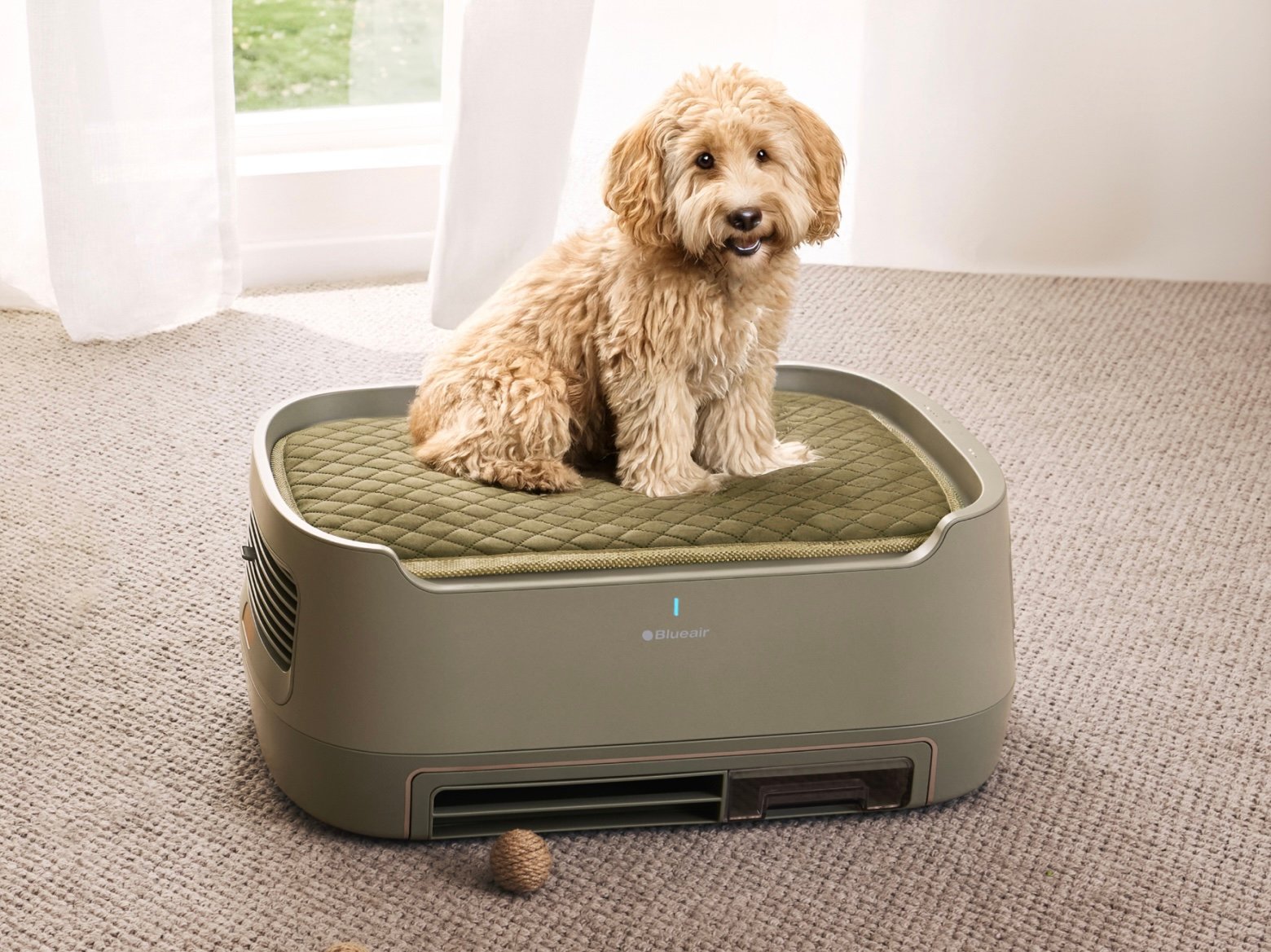 Blueair launches PetAir Pro purifier with built-in pet bed for cleaner air and cozier pets