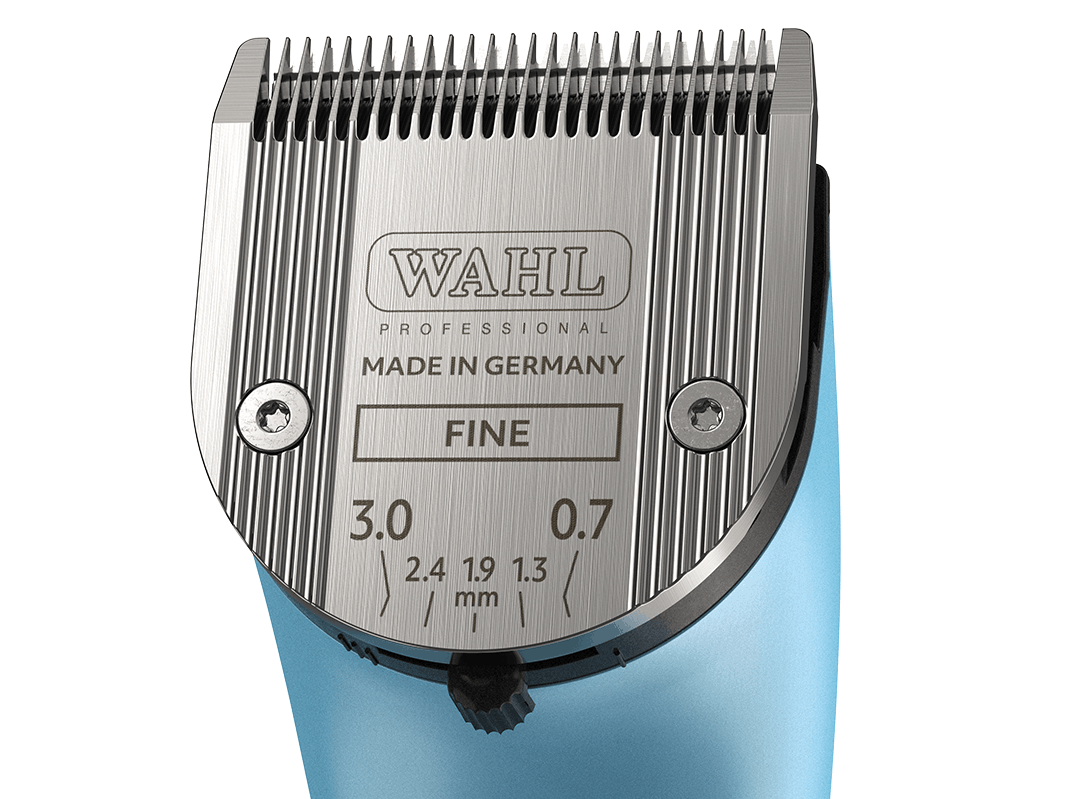 Wahl2