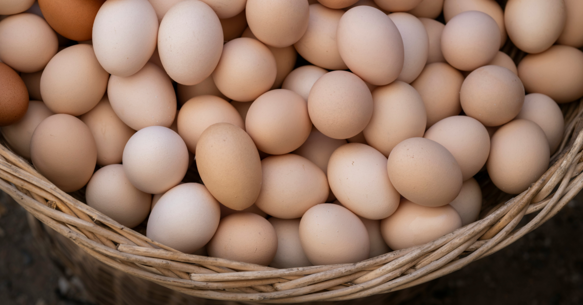 Basket eggs Unsplash