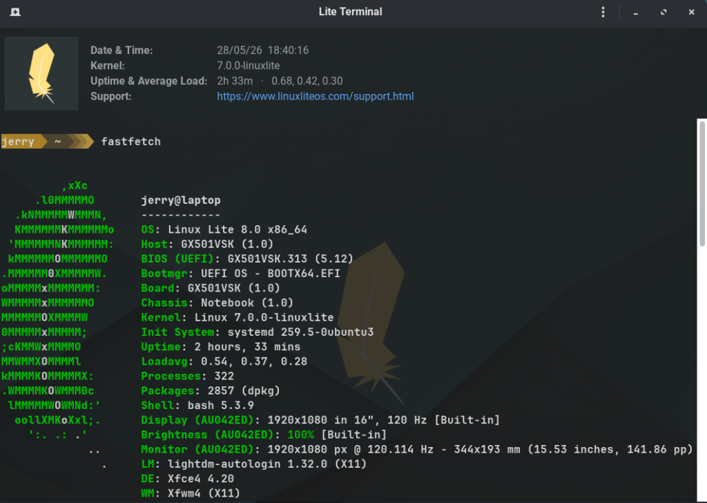 Linux lite 8 terminal
